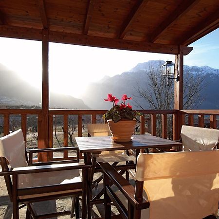 Villa Rustica Konitsa Exterior photo