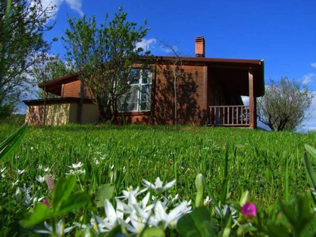 Villa Rustica Konitsa Exterior photo